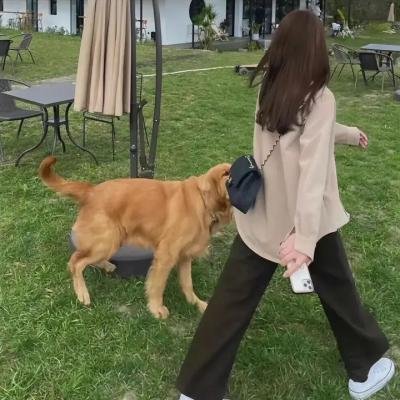 一拳超人